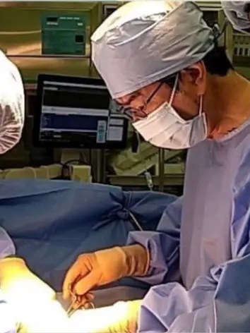 佐藤 信夫の写真