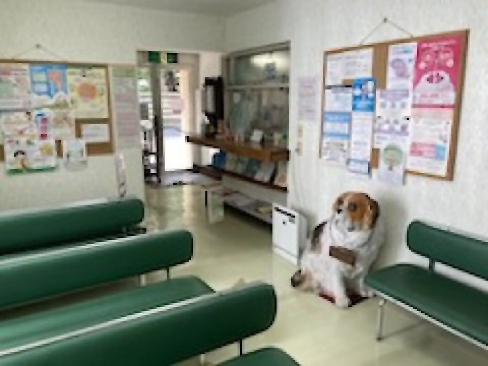 岩﨑小児科医院の病院紹介写真2